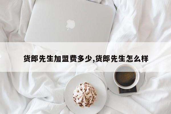 货郎先生加盟费多少,货郎先生怎么样