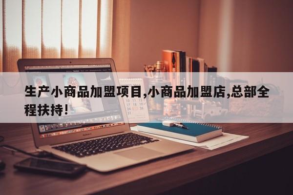 生产小商品加盟项目,小商品加盟店,总部全程扶持!