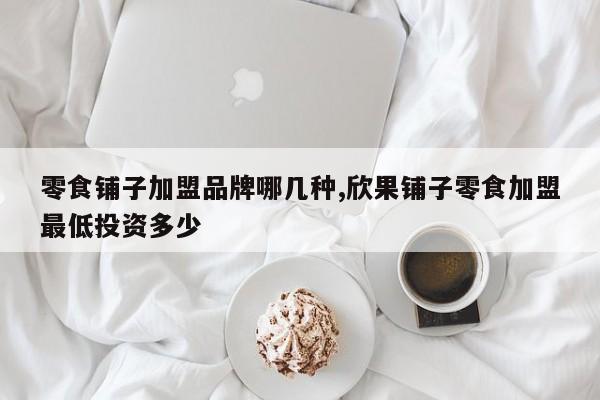 零食铺子加盟品牌哪几种,欣果铺子零食加盟最低投资多少