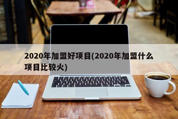 2020年加盟好项目(2020年加盟什么项目比较火)