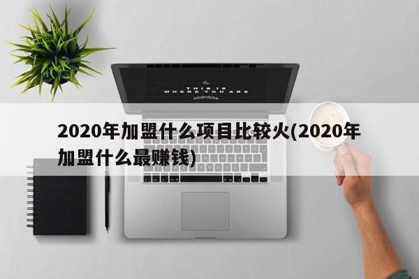 2020年加盟什么项目比较火(2020年加盟什么最赚钱)