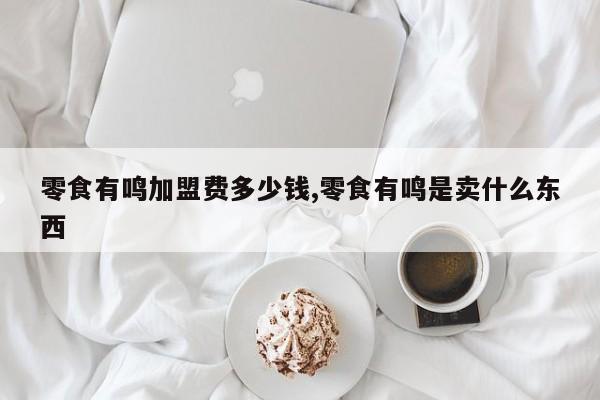 零食有鸣加盟费多少钱,零食有鸣是卖什么东西
