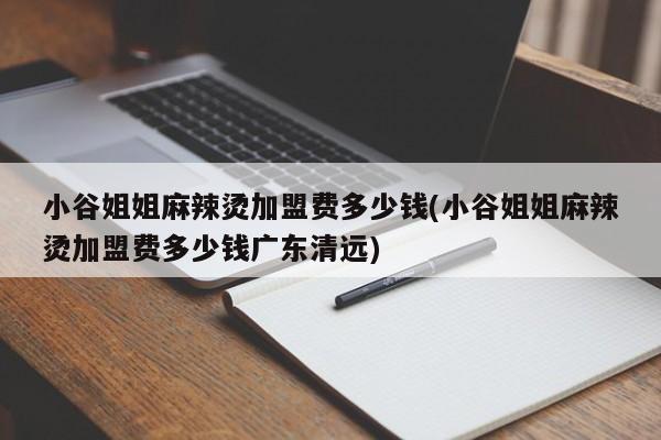 小谷姐姐麻辣烫加盟费多少钱(小谷姐姐麻辣烫加盟费多少钱广东清远)