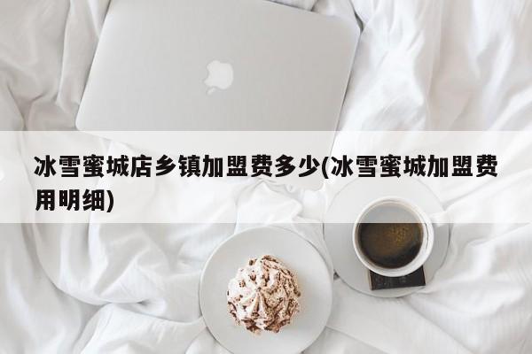 冰雪蜜城店乡镇加盟费多少(冰雪蜜城加盟费用明细)