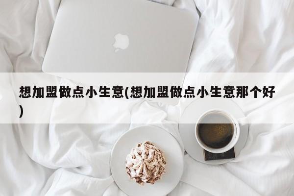 想加盟做点小生意(想加盟做点小生意那个好)