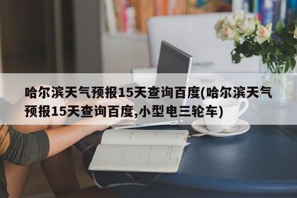 哈尔滨天气预报15天查询百度(哈尔滨天气预报15天查询百度,小型电三轮车)