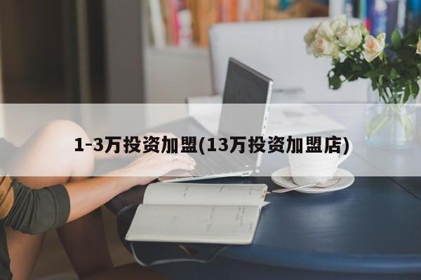 1-3万投资加盟(13万投资加盟店)