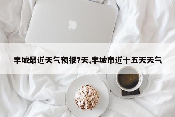 丰城最近天气预报7天,丰城市近十五天天气