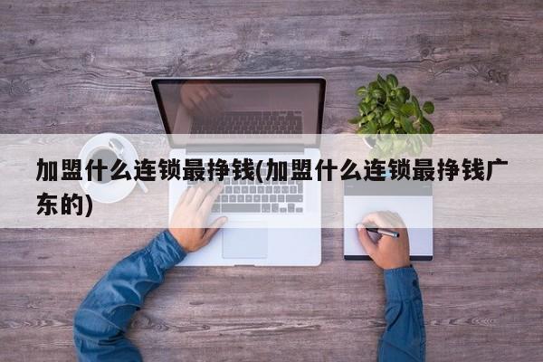 加盟什么连锁最挣钱(加盟什么连锁最挣钱广东的) 第1张