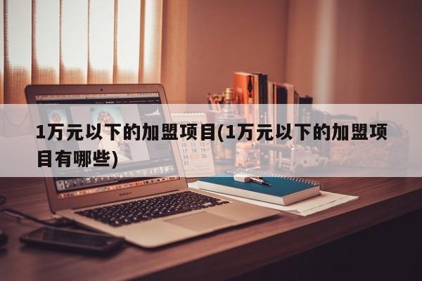 1万元以下的加盟项目(1万元以下的加盟项目有哪些)