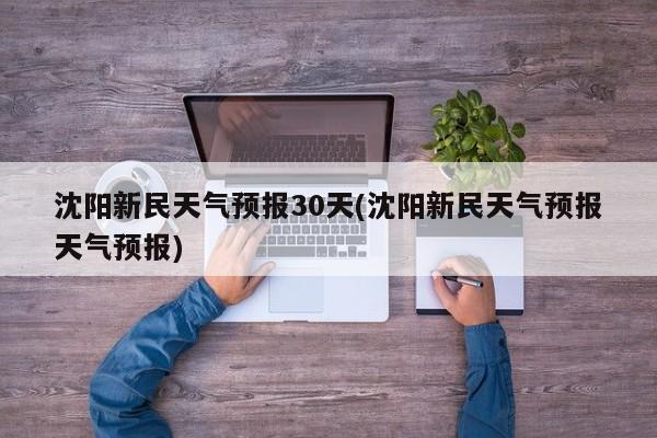 沈阳新民天气预报30天(沈阳新民天气预报天气预报) 第1张