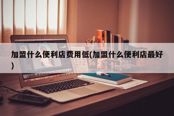 加盟什么便利店费用低(加盟什么便利店最好)